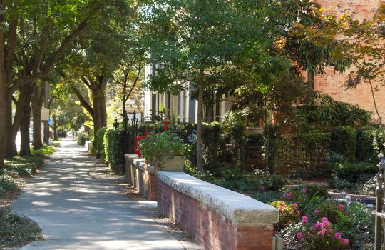 Historic District - Example Homes