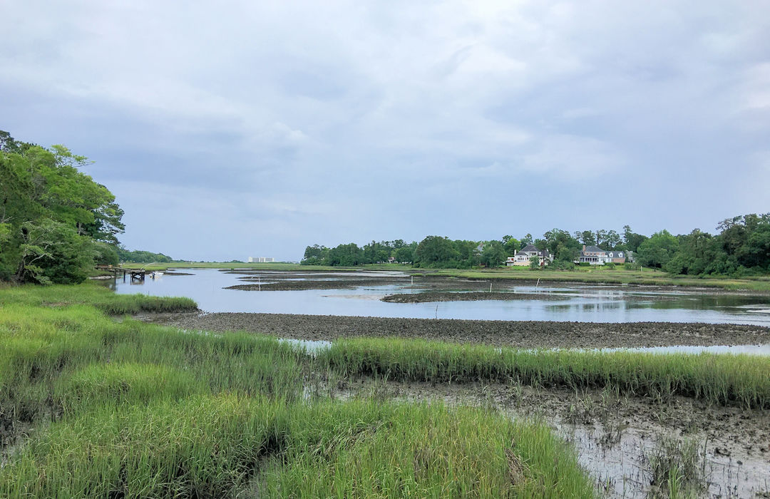 Demarest Landing Homes for Sale in Wilmington, NC The Cameron Team
