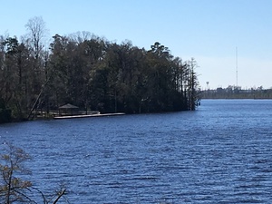 View of Cape Fear River