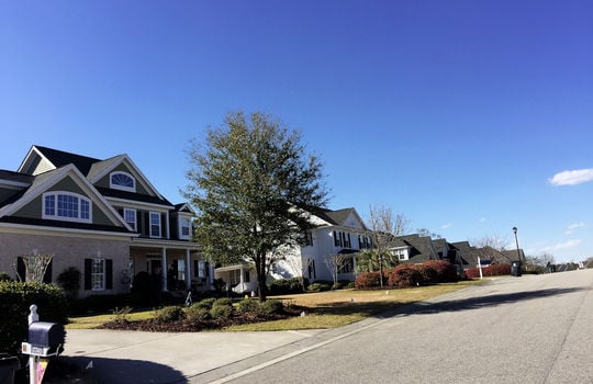 Marsh Oaks - Streetscape