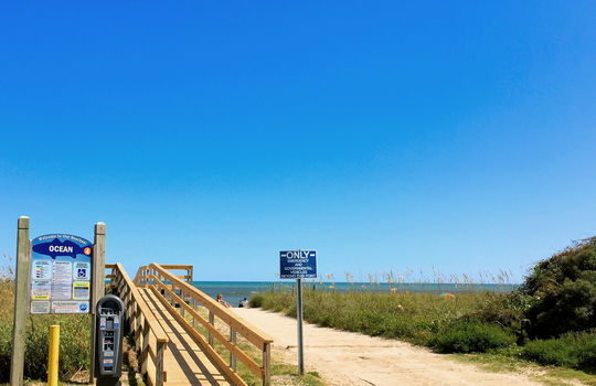 Pelican Watch - Ocean View