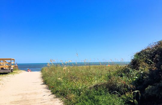 Pelican Watch - Ocean View