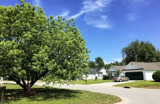 Quail Woods - Streetscape