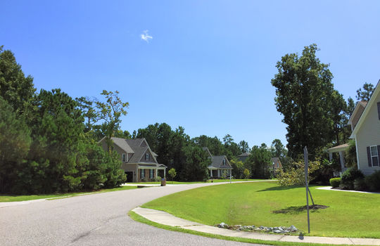 Majestic Oaks - Streetscape