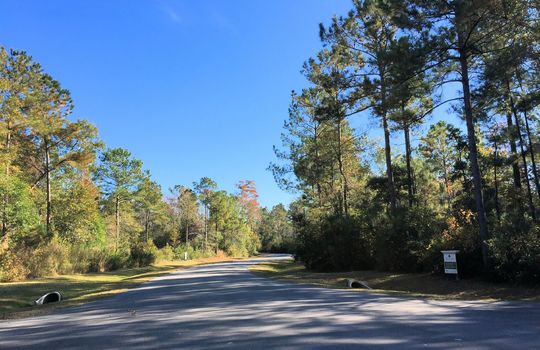 Forest Hills - Streetscape