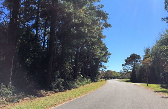 Majestic Oaks - Streetscape
