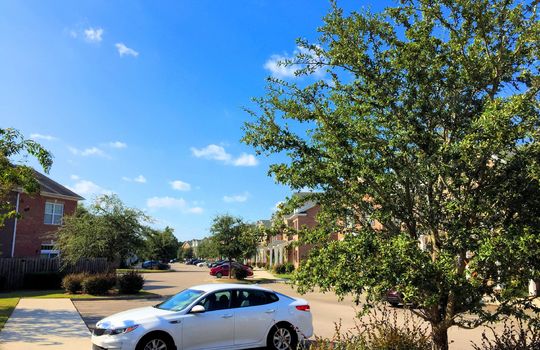 Exton Park - Streetscape