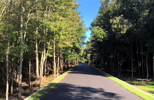 Forest Hills - Streetscape