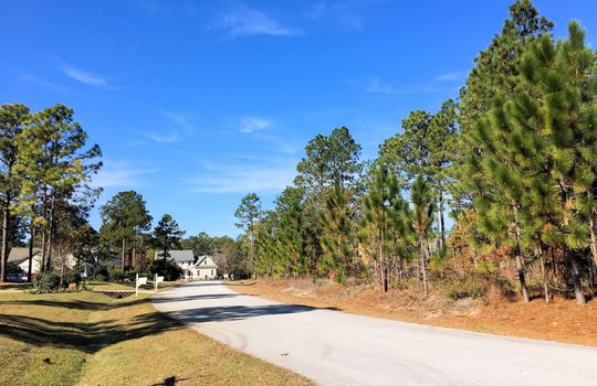 Pelican Reef - Streetscape