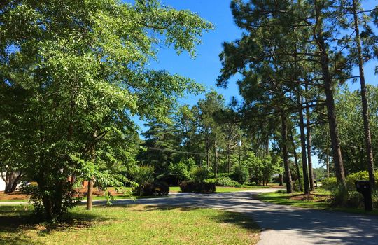 Pine Valley Estates - Streetscape