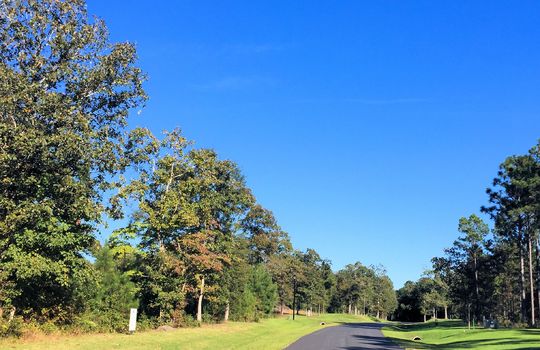 Forest Hills - Streetscape