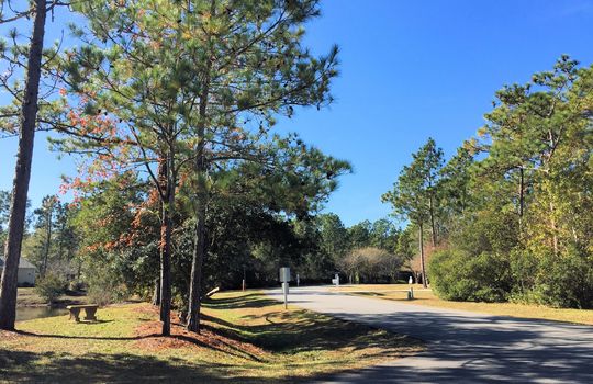 Pelican Reef - Streetscape
