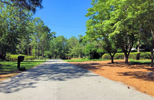 Pine Valley Estates - Streetscape
