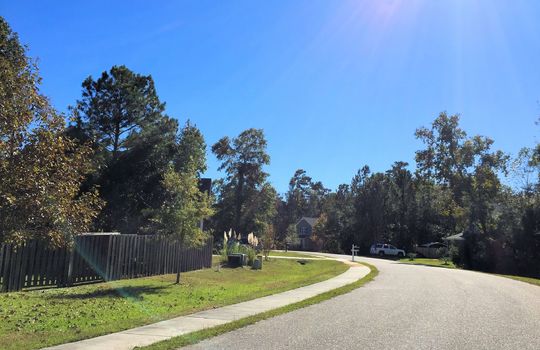 Majestic Oaks - Streetscape