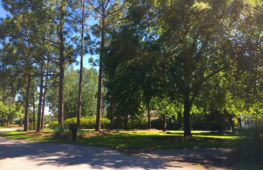 Pine Valley Estates - Streetscape