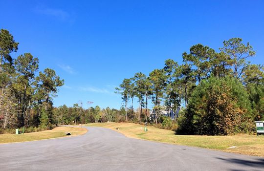 Forest Hills - Streetscape