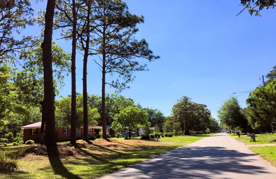 Pine Valley Estates - Streetscape