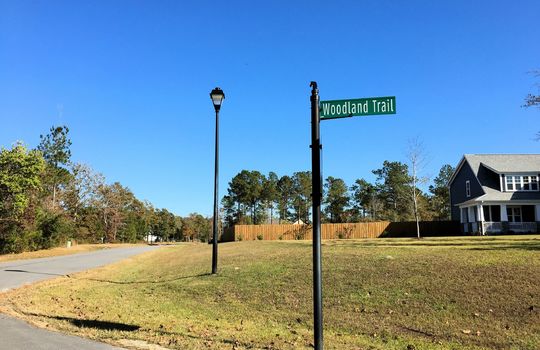 Forest Hills - Streetscape