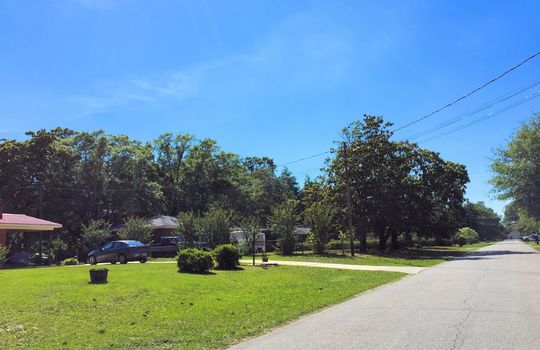 Pine Valley Estates - Streetscape