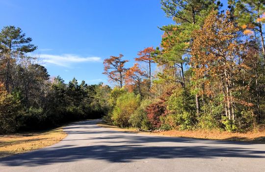 Forest Hills - Streetscape