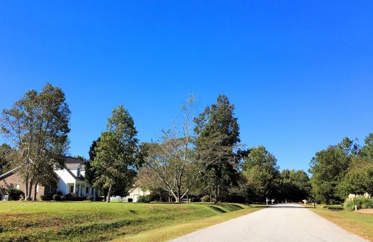 Majestic Oaks - Streetscape