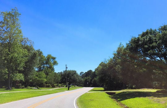 Pine Valley Estates - Streetscape