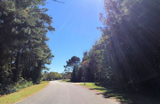 Majestic Oaks - Streetscape