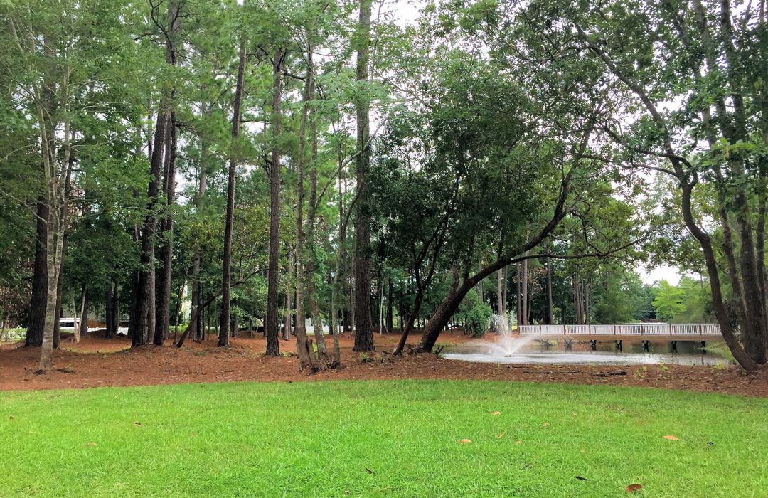 Demarest Village Homes for Sale in Wilmington, NC The Cameron Team