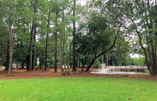 Demarest Village - Pond