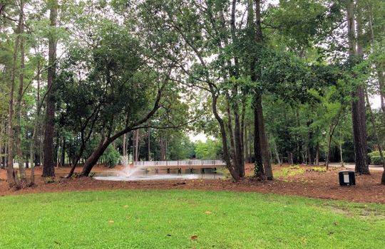 Demarest Village Pond