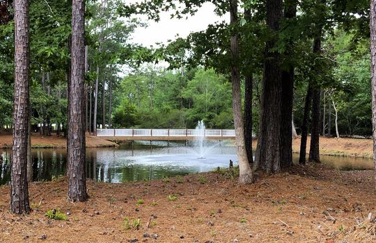 Demarest Village - Pond