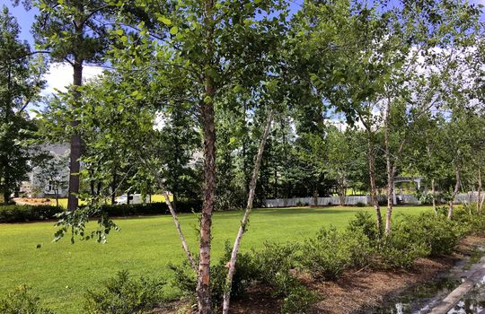 Demarest Village - Park