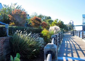 Downtown Wilmington - Pretty Riverwalk Garden