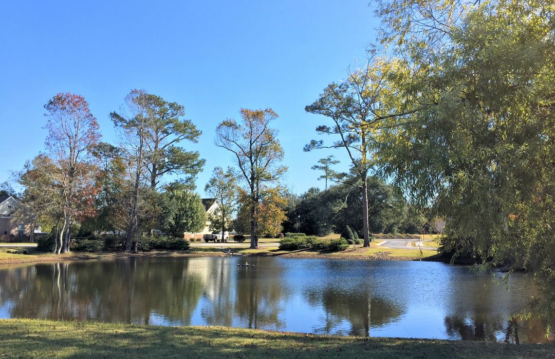 Pecan Grove Plantation Homes for Sale in Hampstead, NC