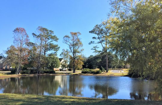 Pecan Grove Plantation - Lake