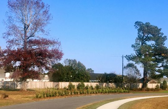 Wyndwater - Streetscape