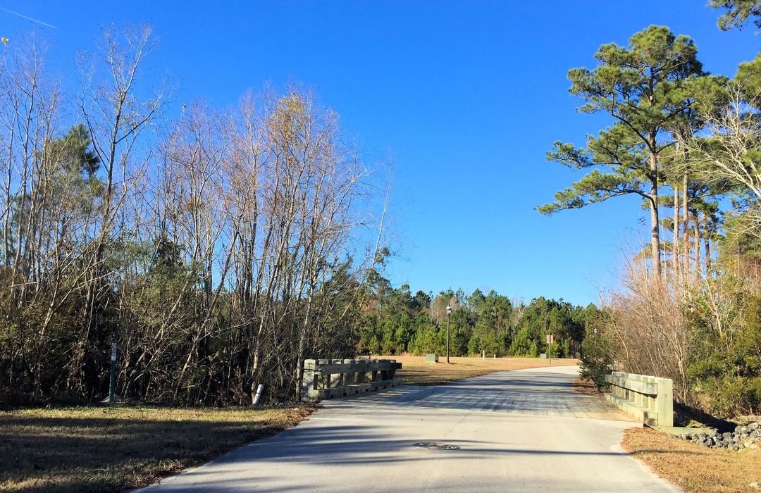 Summerhouse On Everett Bay Homes for Sale in Holly Ridge, NC