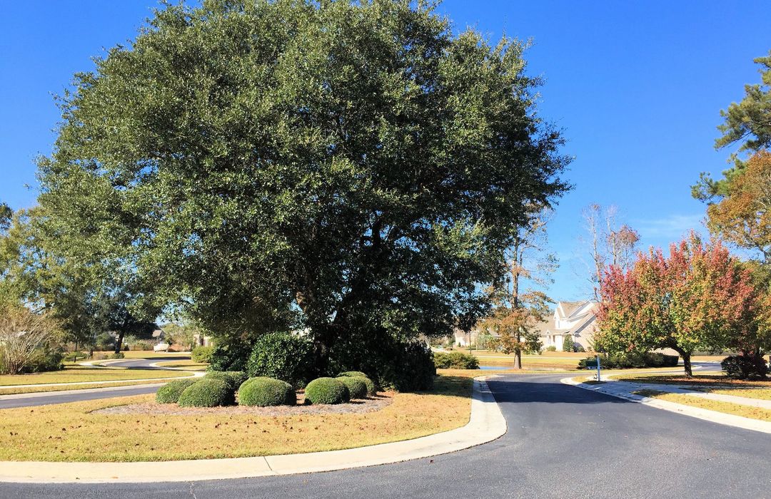 Pecan Grove Plantation Homes for Sale in Hampstead, NC