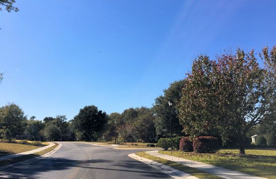 Pecan Grove Plantation - Streetscape