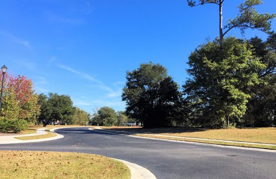 Pecan Grove Plantation - Streetscape