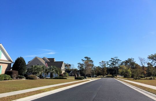 Pecan Grove Plantation - Streetscape