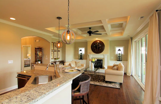 The Forks at Barclay - Living Room