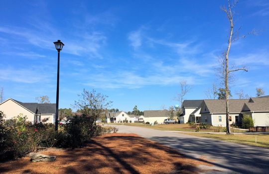 Kings Heritage Farm - Streetscape