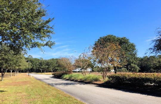 Sloop Point Plantation - Streetscape