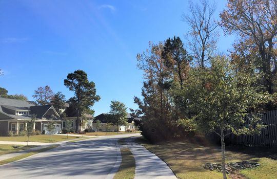 Saltwater Landing - Streetscape