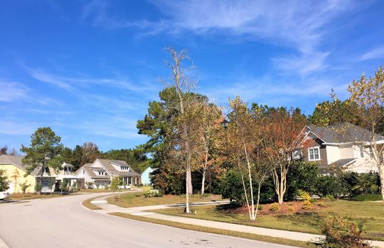 Saltwater Landing - Streetscape