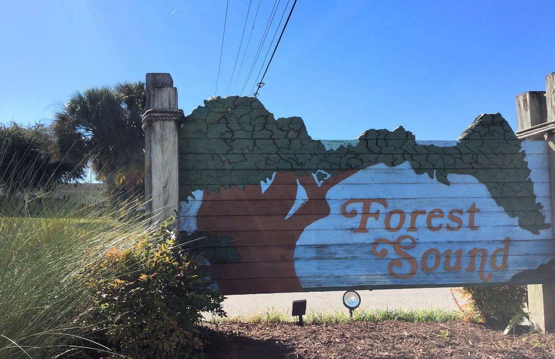 Forest Sound, Hampstead, NC Homes for Sale & Real Estate