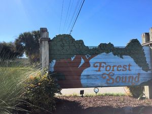 Forest Sound - Entrance Sign