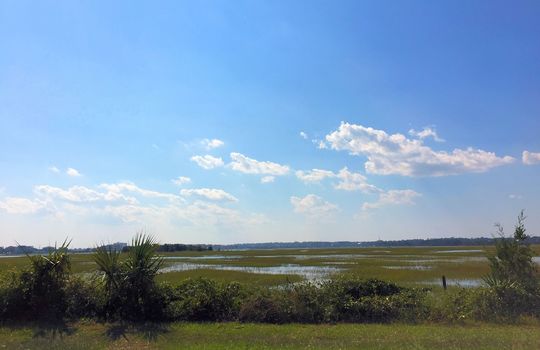 Parmele Isle - Marsh View