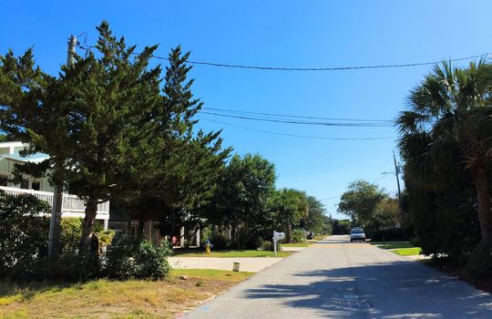 Parmele Isle - Streetscape
